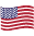 USA Flag